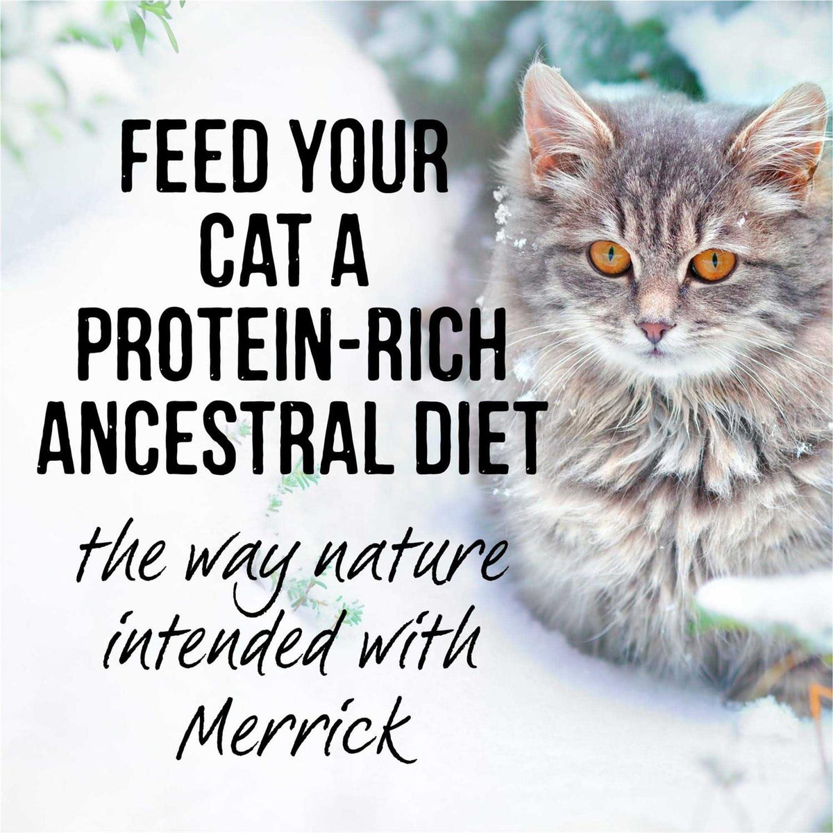 Backcountry Cat Food Real Cuts E985