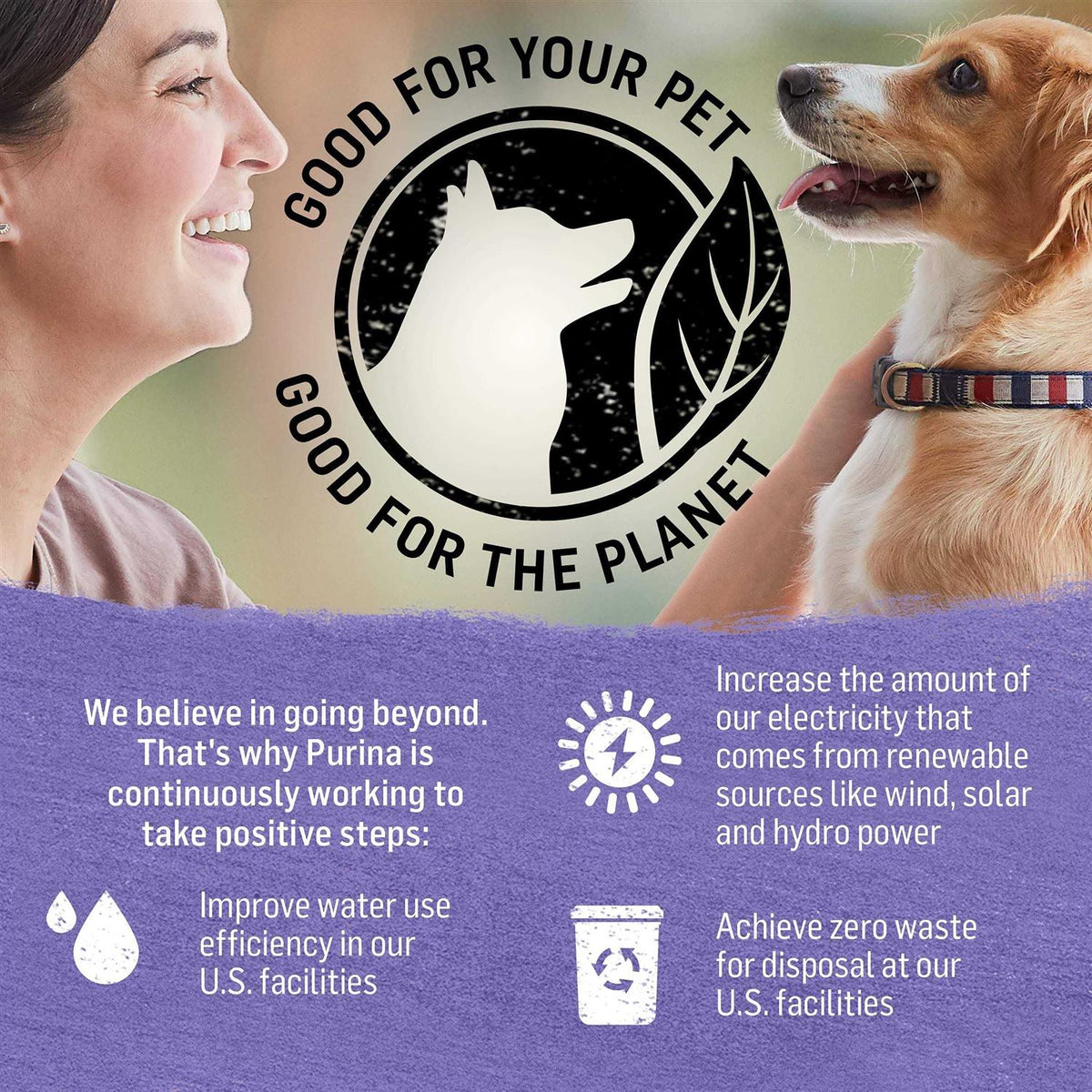 Grain Free Turkey & Sweet Potato Wet Dog Food S502