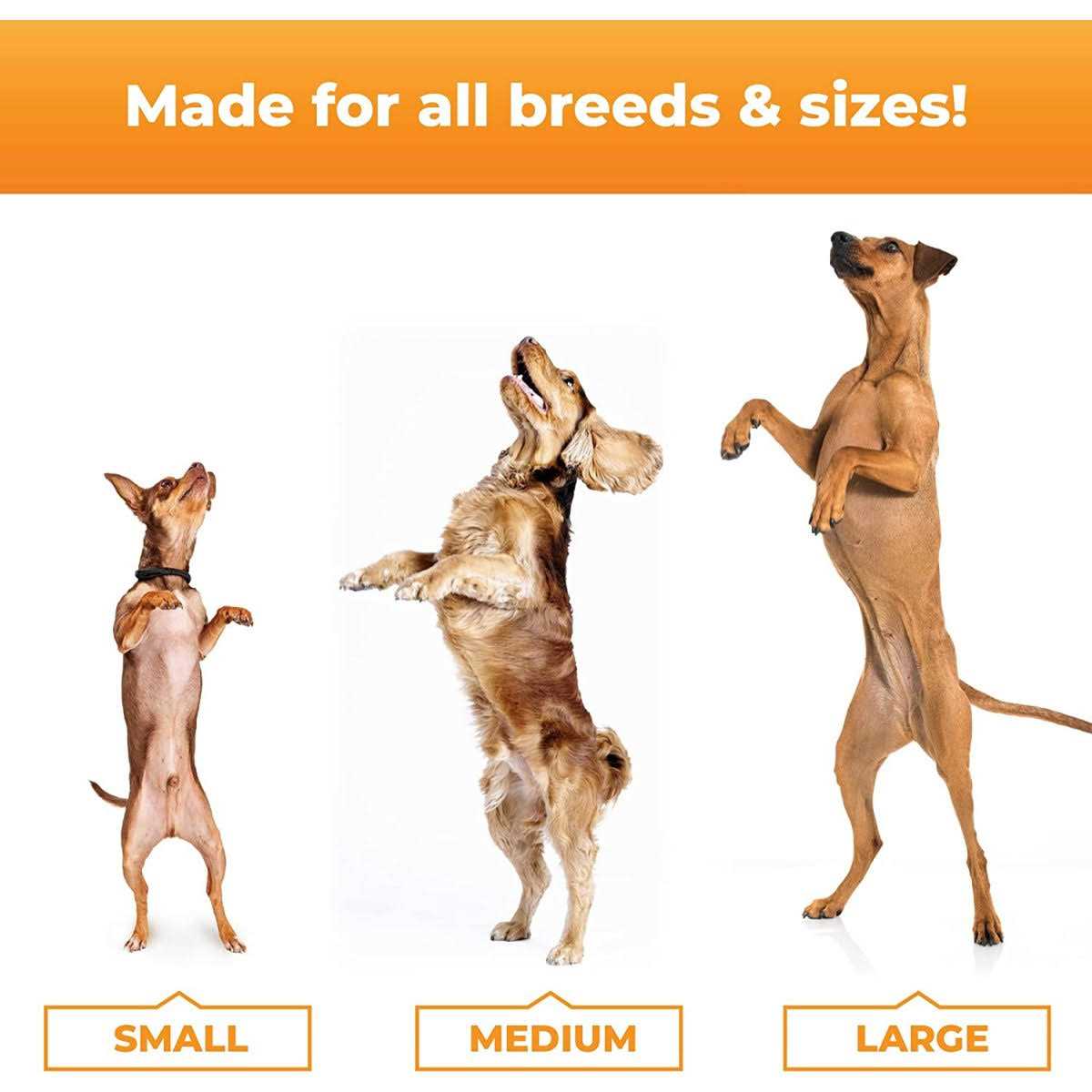 Joint Supplement for Dogs L562