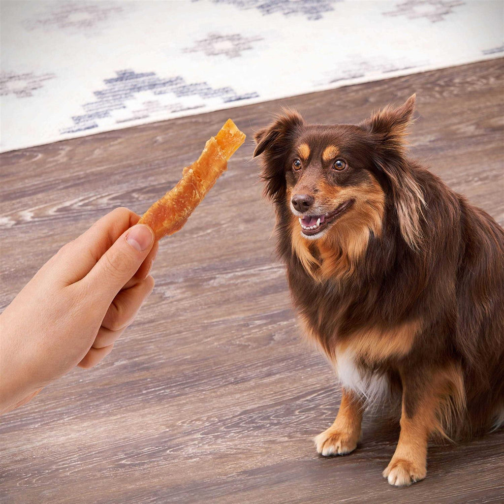 Sweet Potato Wrapped with Chicken Dog Treats X9136