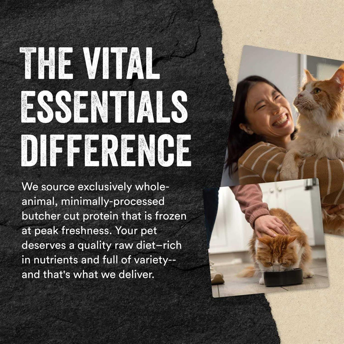 Freeze-Dried Rabbit Bites Cat Treats W726359