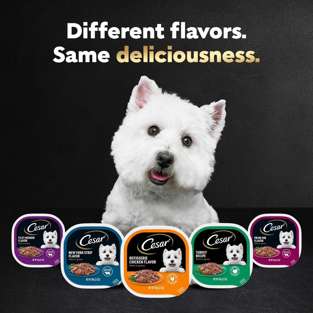 Filet Mignon Dog Food X6994