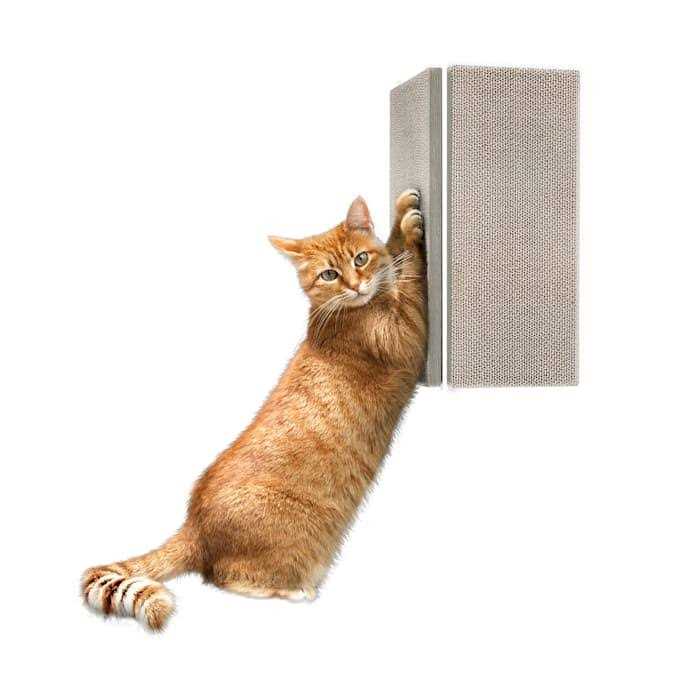 Cat Scratcher Wall Mounted P559793