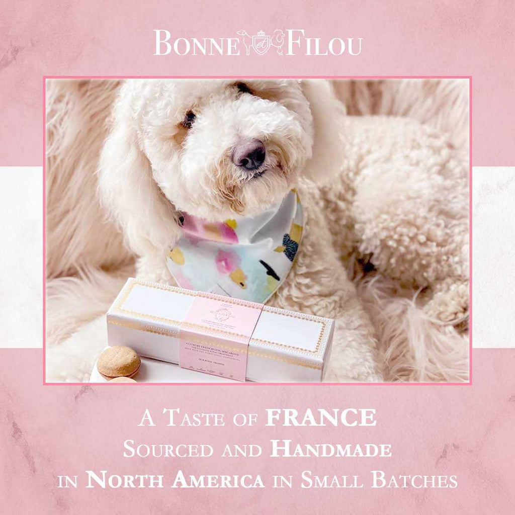 Dog Macarons Y86113
