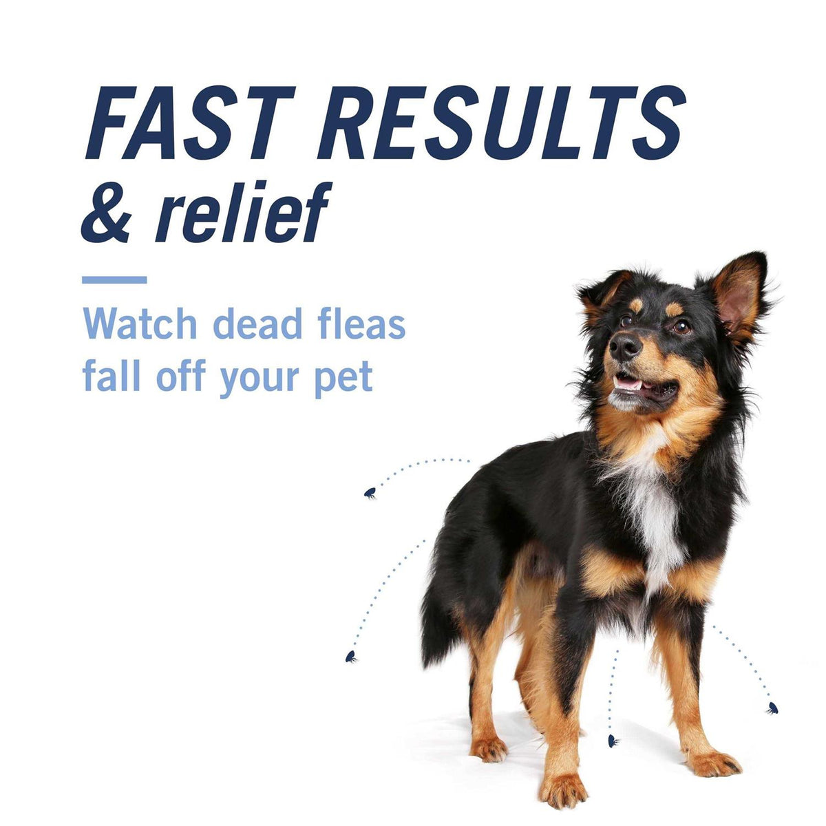 Flea & Tick Capsules A592