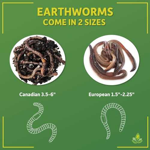 Canadian Nightcrawlers Live Reptile Food, 12 count T551832