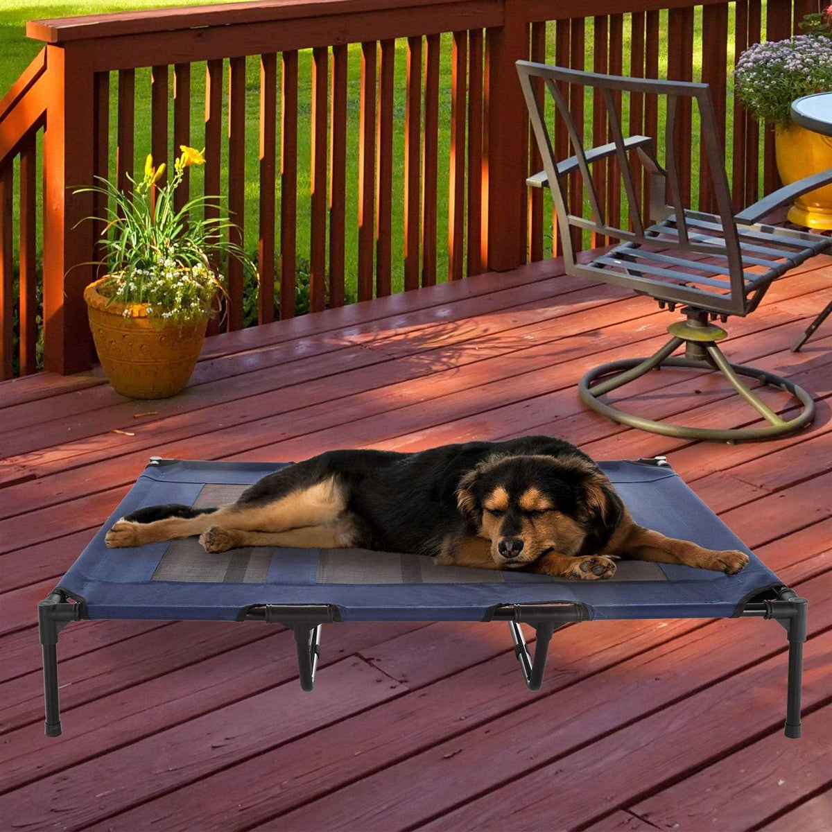 Cot-Style Elevated Pet Bed Y26629