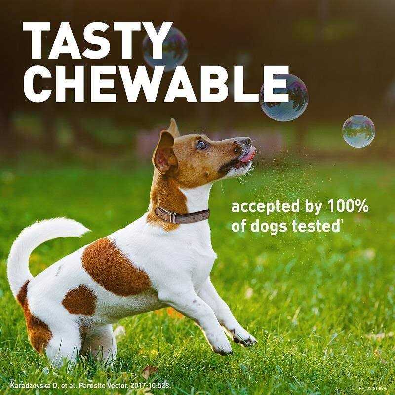 Chewable Tablet for Dogs V87564