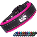 Neoprene Padded Dog Collar K221662