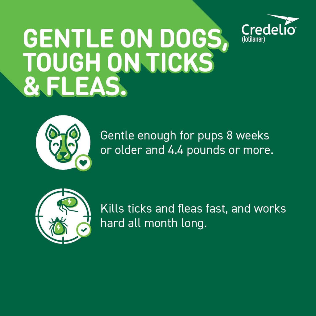 Chewable Tablet for Dogs V87564