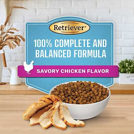 Chicken Flavor Dry Dog Food O27854