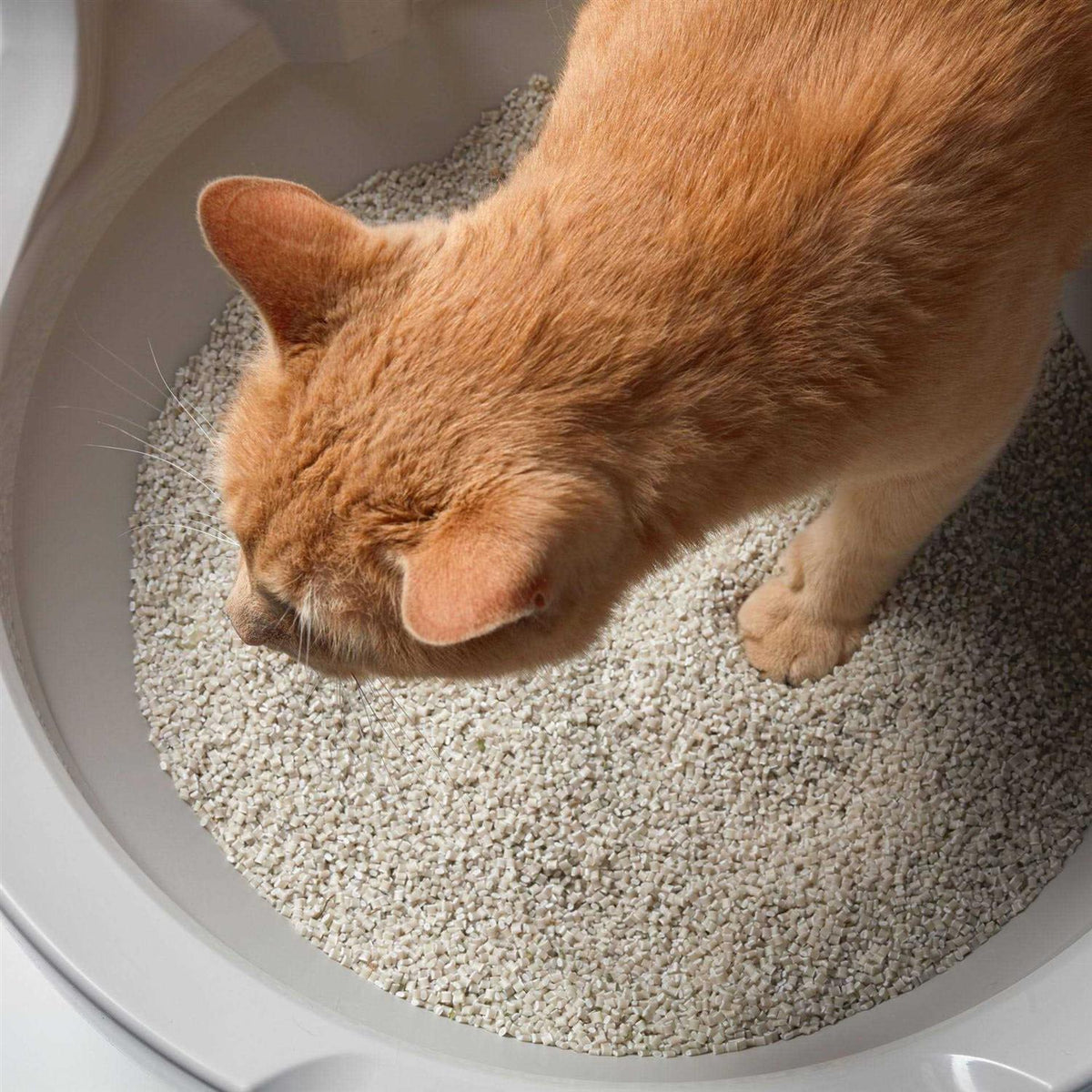 Washable Granules T91360