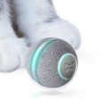 Smart Interactive Cat Toy A2947