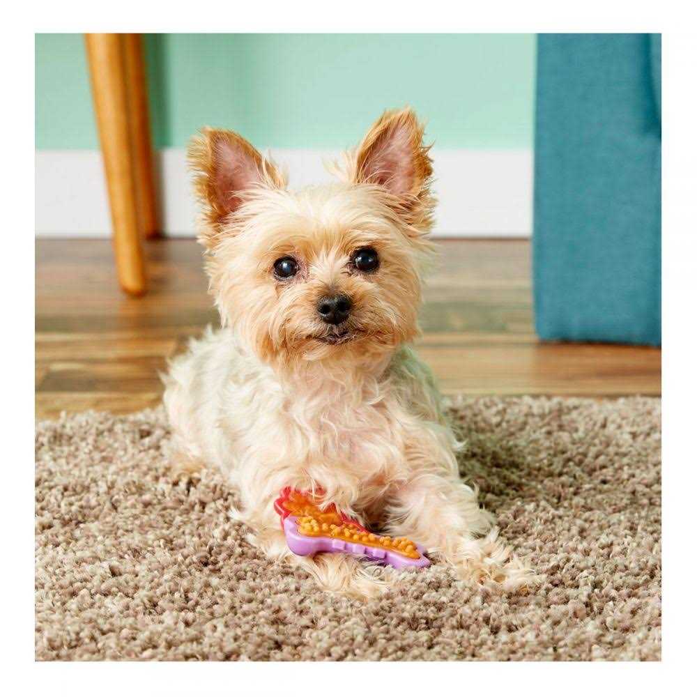 Dog Chew Toy Treat M983