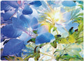 Canvas Art 32x24 C844