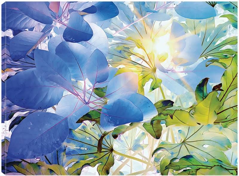 Canvas Art 32x24 C844