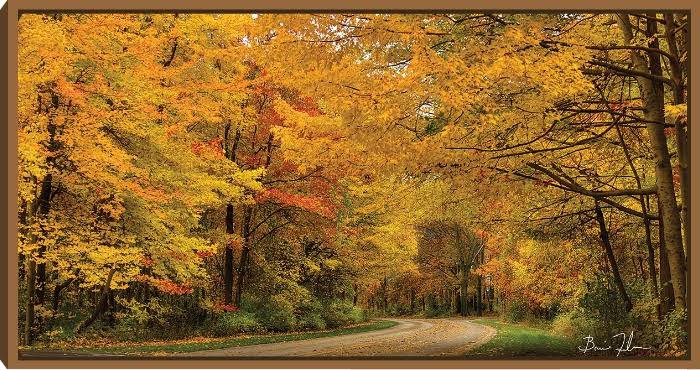Canvas Art 32x24 N59634