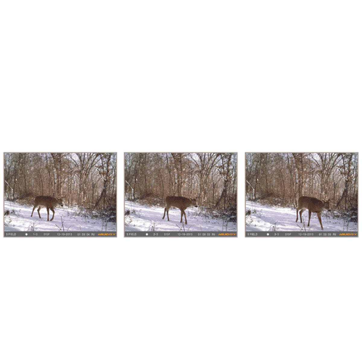 Trail Camera V5773