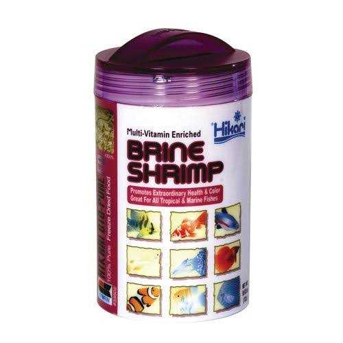 Brine Shrimp C5782