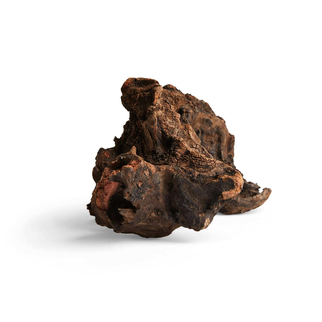 Driftwood A79854