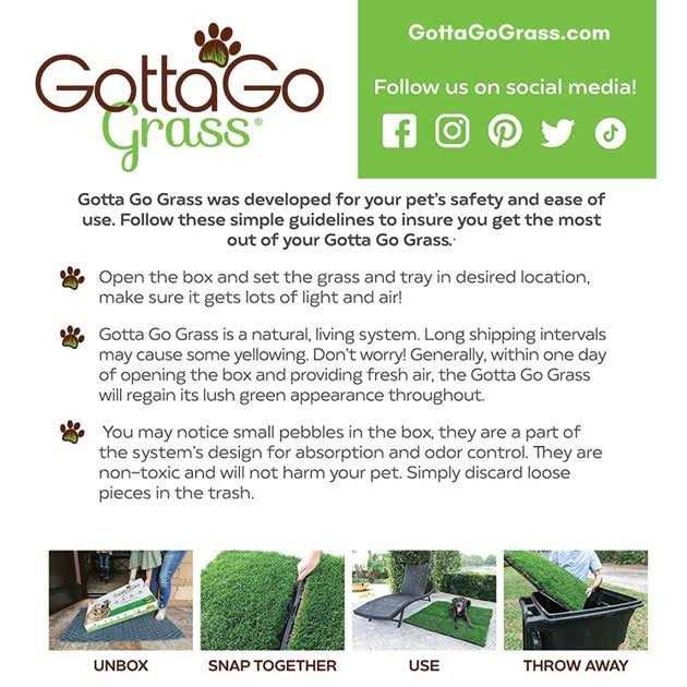 Grass with Tray O86548