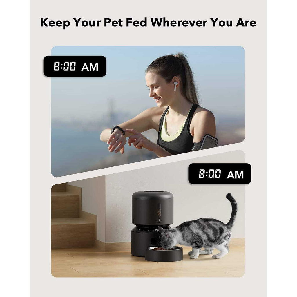 Automatic Cat Feeder H297