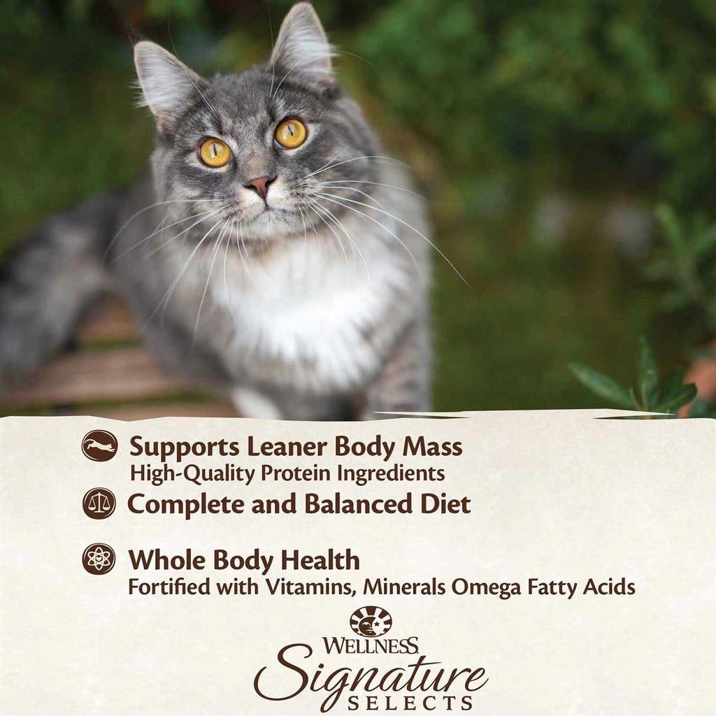 Grain Free Canned Cat Food T731301