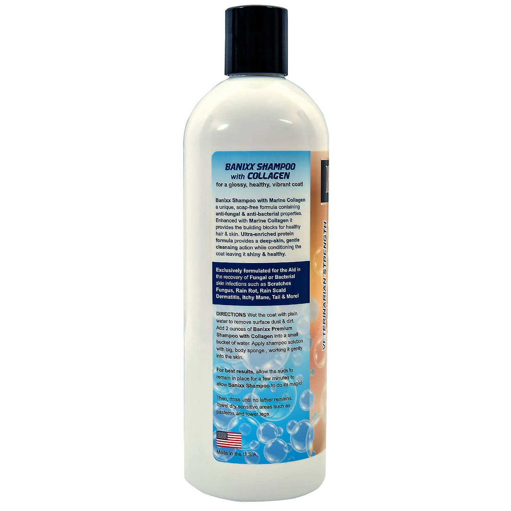 Medicated Shampoo N23121
