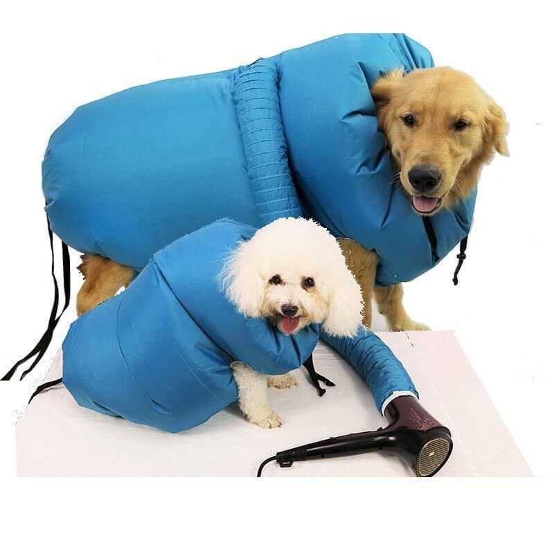 Small Dog Dryer G291251