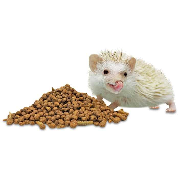Hedgehog Essential J506
